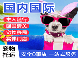 咸阳航空托运国际宠物托运 【国